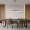 Moderne LED-Hängeleuchte Orbit No.1 150 cm Schwarz 4000K dimmbar LEDesign